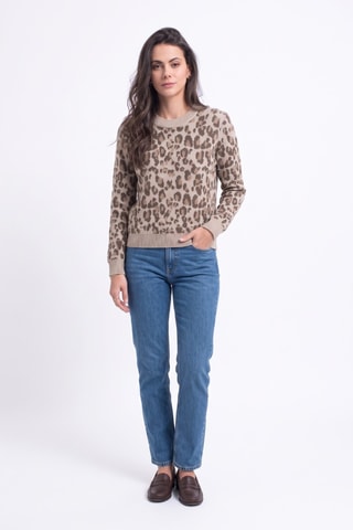 Pull - Camel