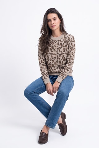 Pull - Camel