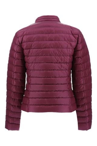 Doudoune perfecto Pleasure - Aubergine