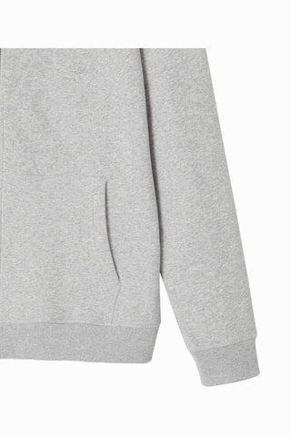 Sweat à capuche en coton biologique Mexico - Gris chiné