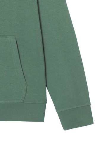 Sweat à capuche en coton biologique Mexico 2.0 - Vert céladon