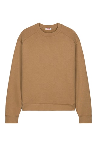 Sweat Alphonse - Fauve