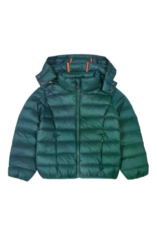 Doudoune à capuche Grand Froid Gold - Vert foncé