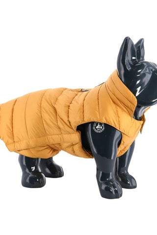 Doudoune pour chien Woop - Moutarde