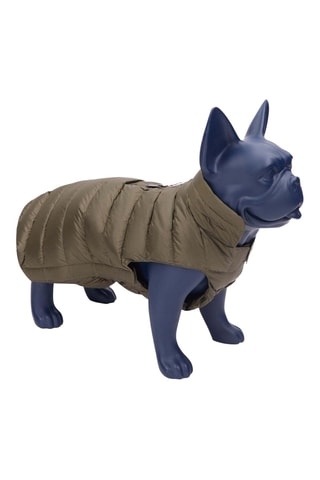 Doudoune pour chien Tobbie - Army