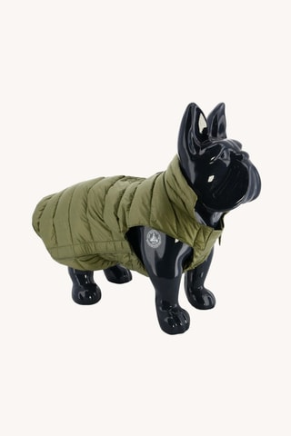 Doudoune pour chien Woop - Bush