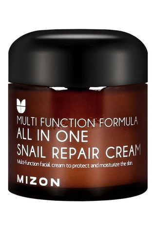 Herstellende crème voor het gezicht met slakkenextract All In One - 75 ml - Mizon -