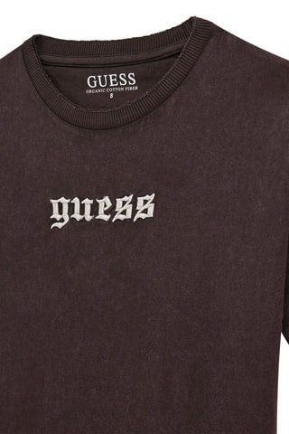 T-shirt en coton biologique - Marron foncé