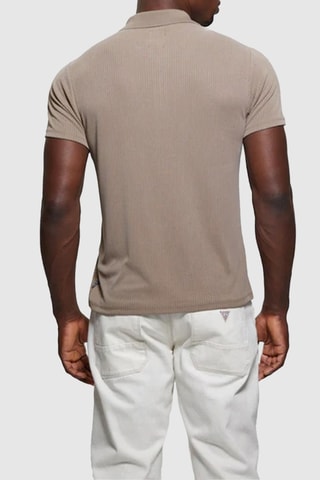 Polo - Taupe