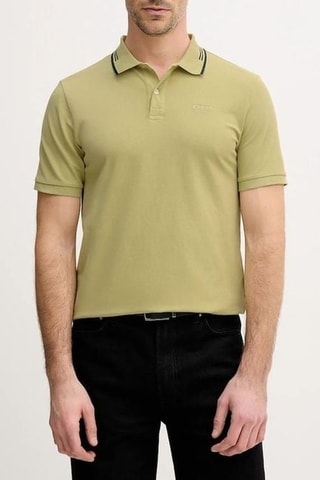 Polo - Kaki