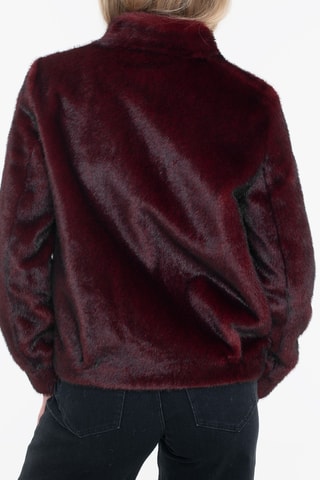 Veste - Bordeaux