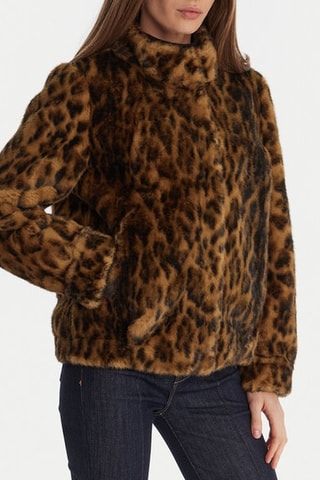 Veste - Marron