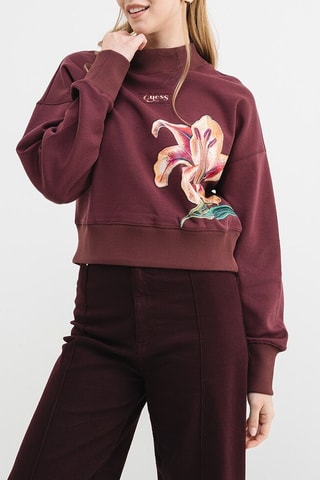 Sweat - Marron