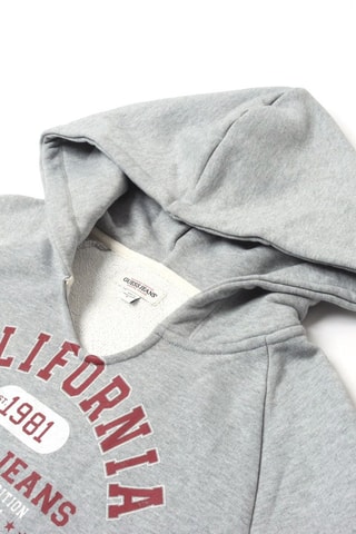 Sweat à capuche - Gris clair chiné