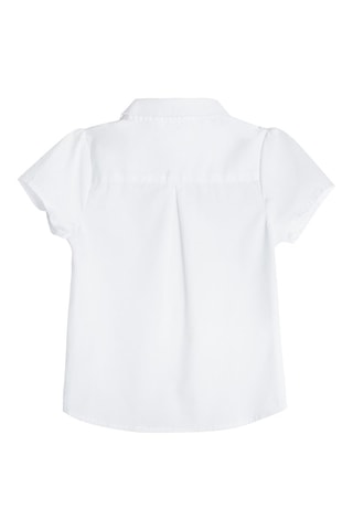 Blouse Wit