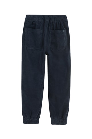 Pantalon en velours - Anthracite