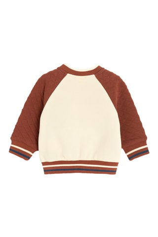Sweat - Ecru et camel