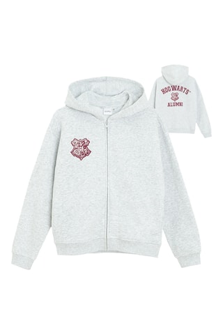Sweat à capuche Harry Potter - Gris