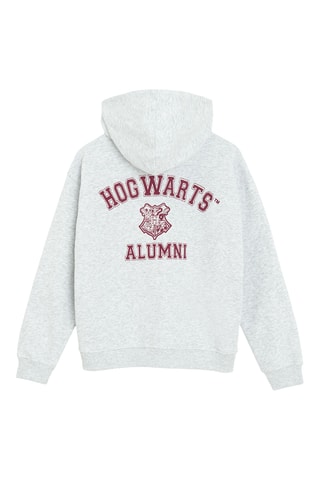 Sweat à capuche Harry Potter - Gris