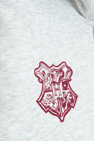 Sweat à capuche Harry Potter - Gris