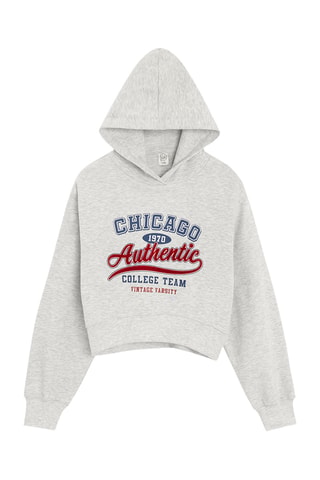 Sweat à capuche - Gris chiné