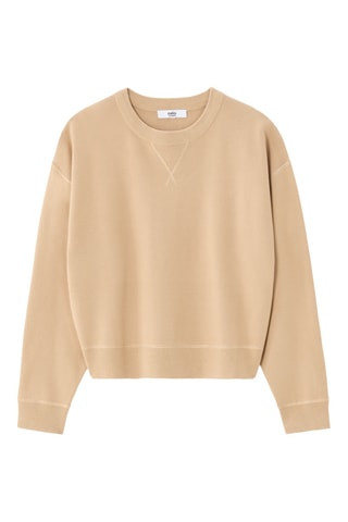 Sweater - Beige