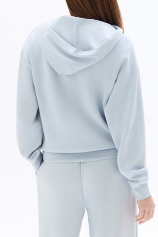 Sweater met capuchon - Lichtgrijs
