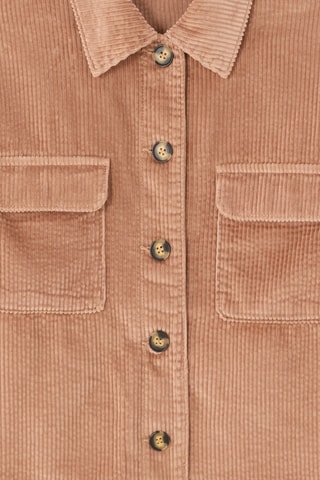 Velours Blouse Straight - Beige