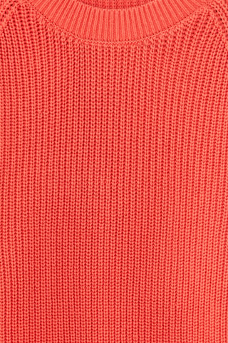 Trui - Koraalrood
