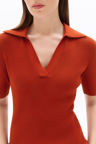 Top - Steenrood