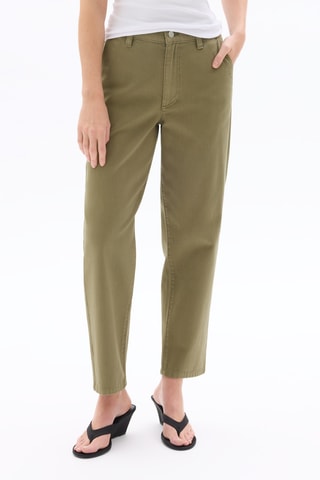 Chino - Kaki