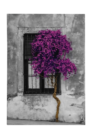 Cuadro - 50 x 70 cm