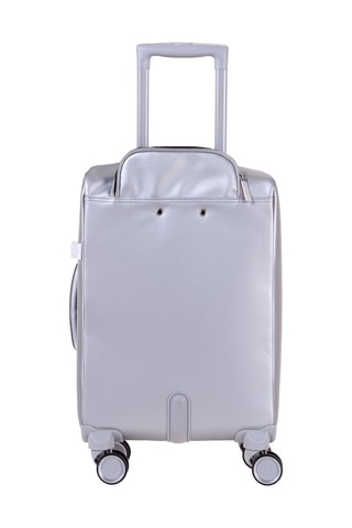 Handbagagetrolley (S) Evasion - 55 cm - Zilverkleurig