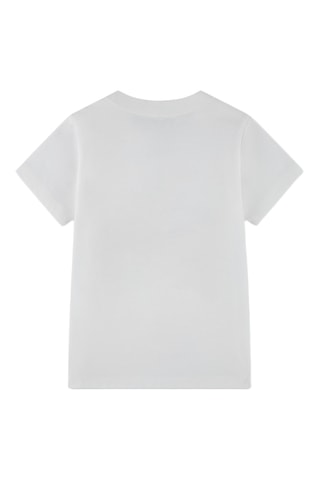 Camiseta - Crudo