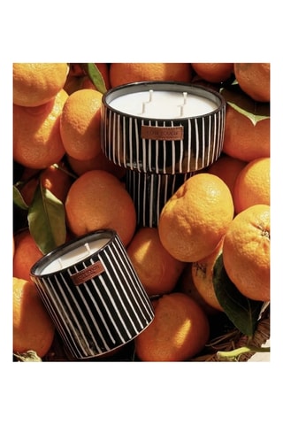 Bougie parfumée 3 mèches 150h - Mandarine Majorelle
