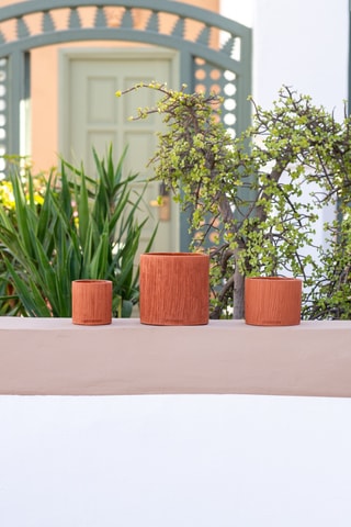 Bougie parfumée 7 mèches 400 h - Ambre