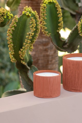 Bougie parfumée 3 mèches 80 h - Ambre