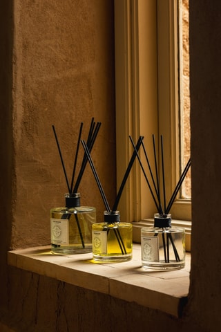 Diffuseur de parfum "Cèdre de l'Atlas" - 200 ml