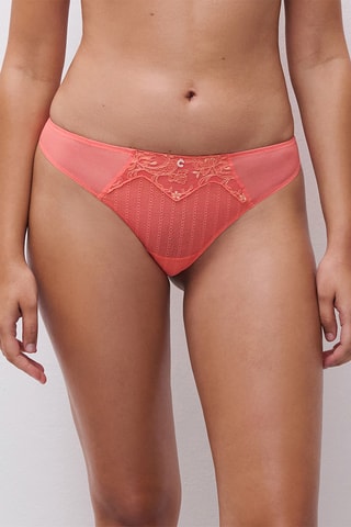 Tanga Cabaret Sauvage - Coral - Chantelle