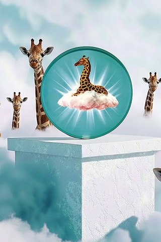 Plateau Celestine - 33 cm