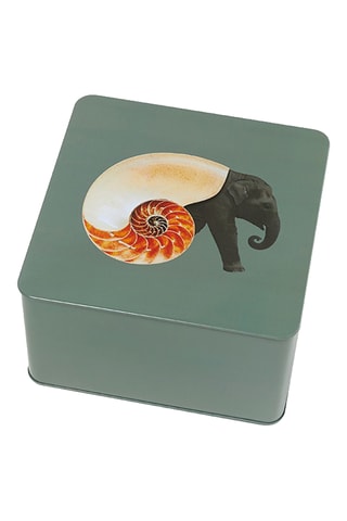 Doosje Shellephant - 17,7 x 17,7 x 10,2 cm - Groen