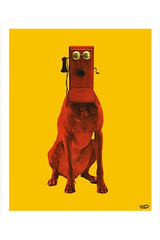 Poster Dogallo - 40 x 50 cm