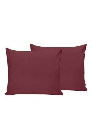 2 fundas de almohada de algodón 61 hilos/cm² - Marrón - 50 x 70 cm