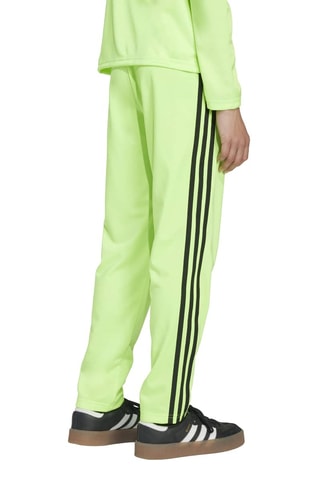Pantalon regular de survêtement Adicolor - Vert clair