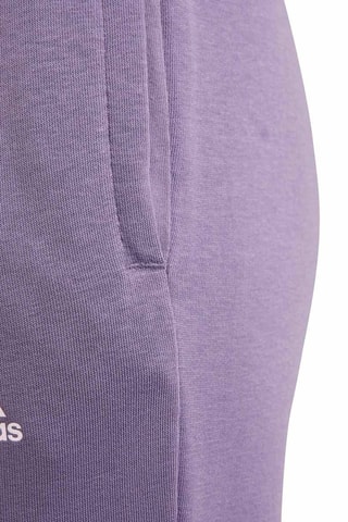 Pantalon - Violet