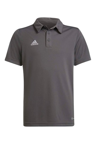 Polo de football regular Entrada - Gris foncé