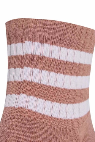 3 paires de chaussettes Essentials - Blanc et marron