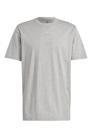 T-shirt All SZN - Gris chiné