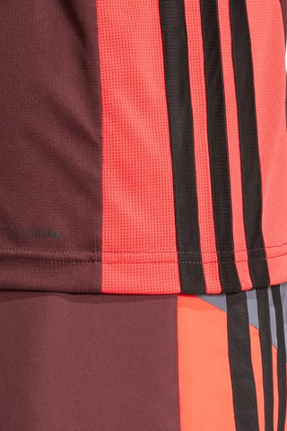 T-shirt - Marron