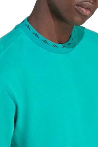 T-shirt regular Premium Originals - Vert